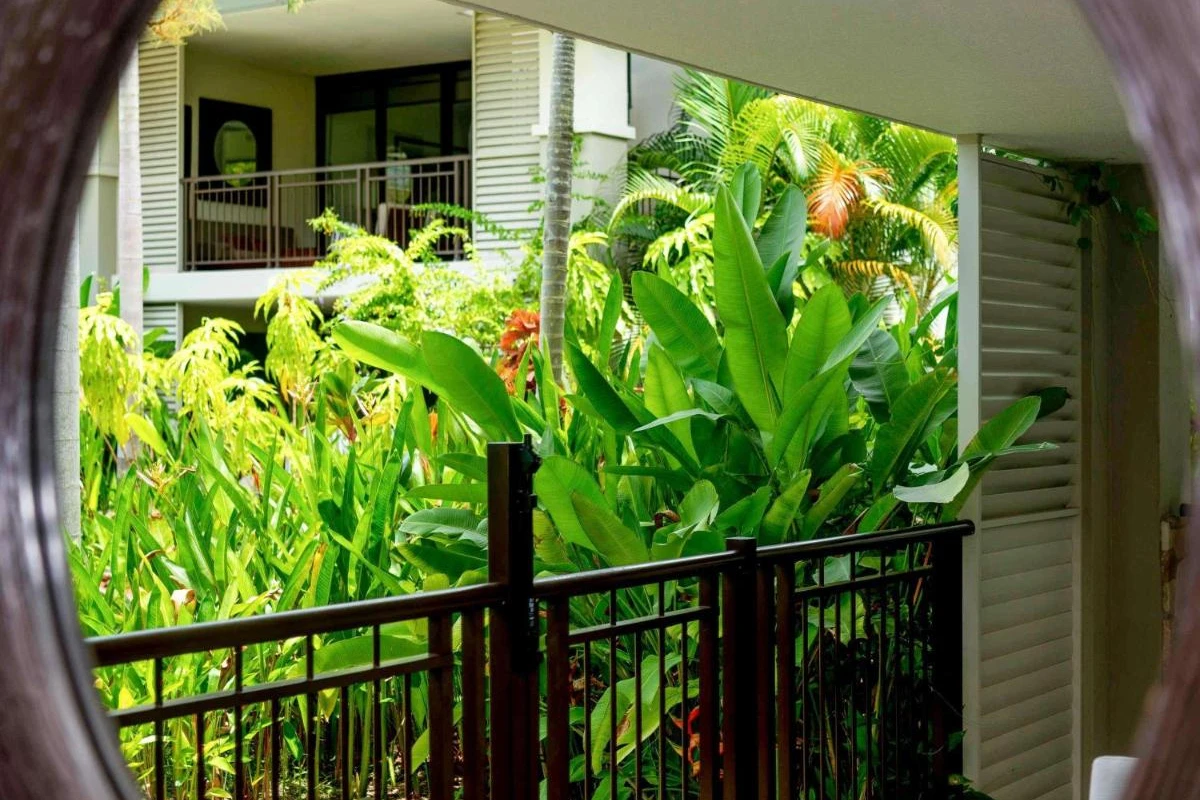 Pullman Port Douglas Sea Temple Resort - Hotel Photo 37