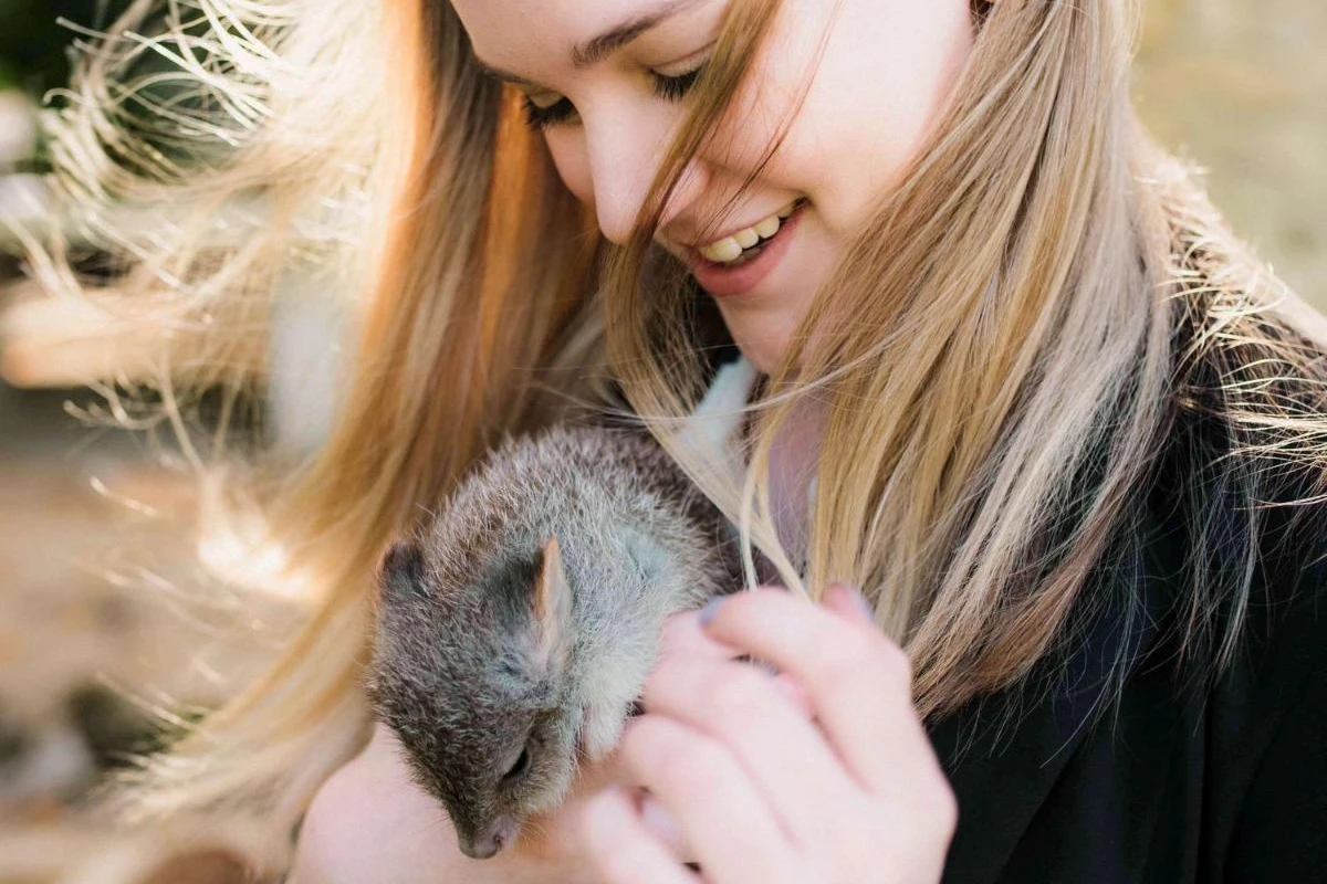 Mount Lofty House & Estate Adelaide Hills - Hotel Photo 38