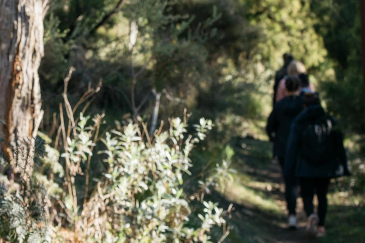 Sequoia Lodge - Hotel Photo 22