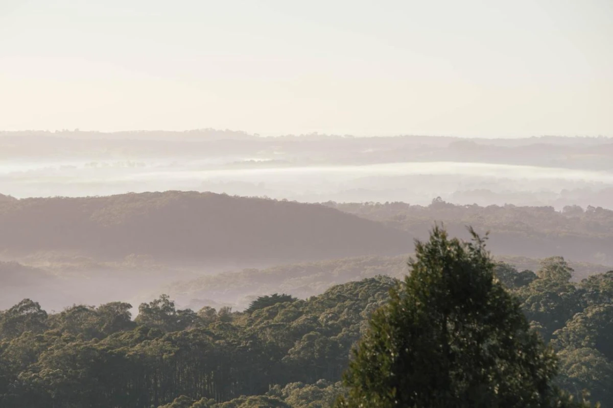 Sequoia Lodge - Hotel Photo 27