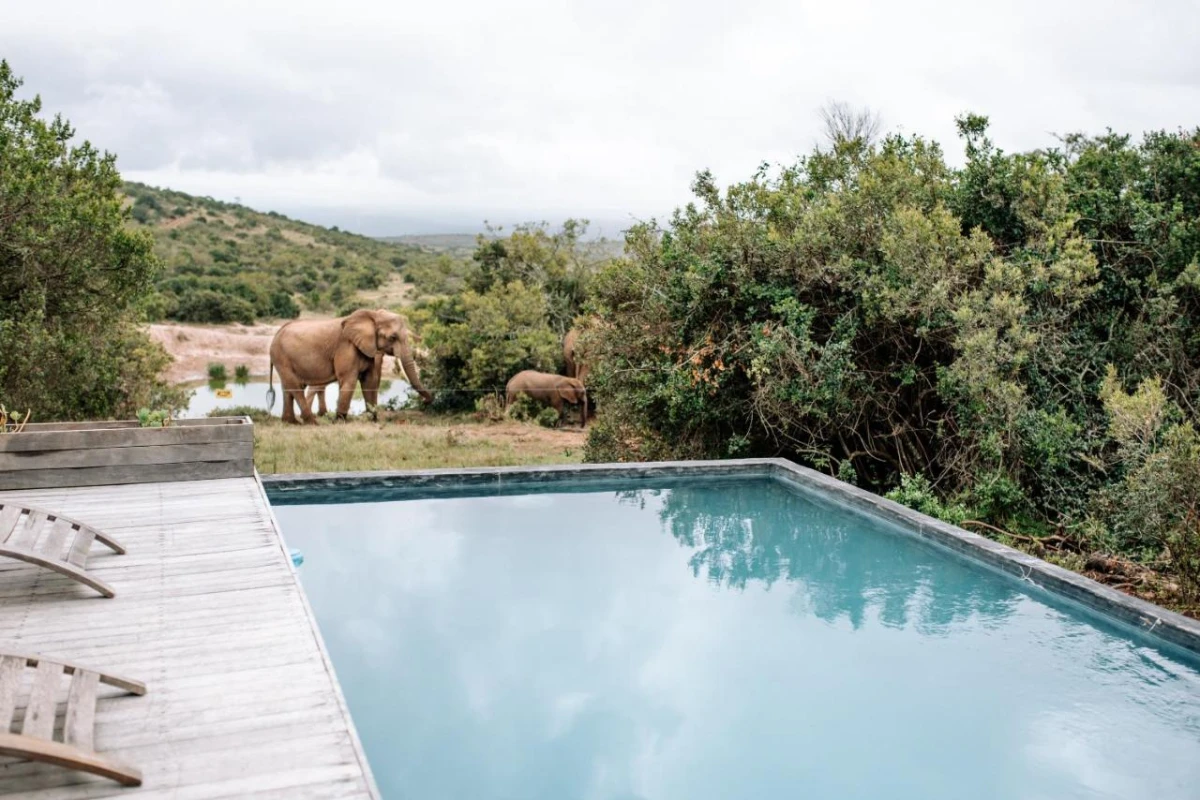 Bukela Game Lodge - Hotel Photo 9