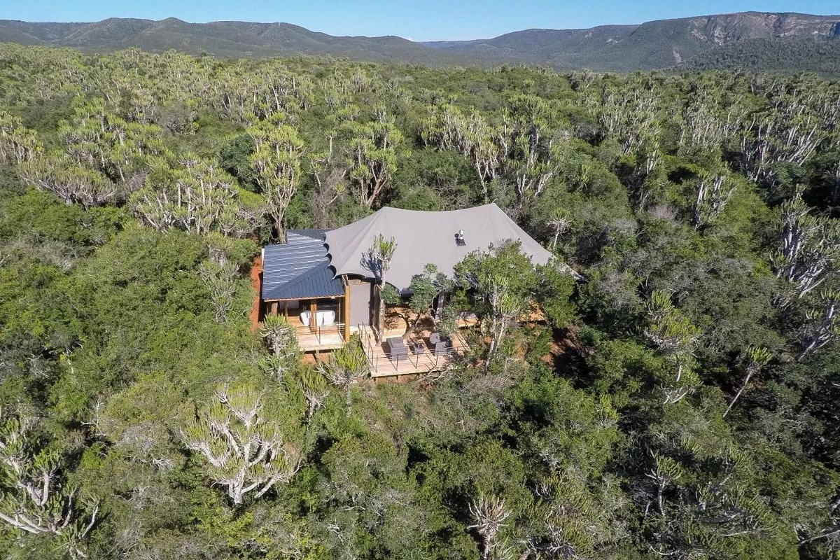 Kariega Game Reserve Settlers Drift - Hotel Photo 6