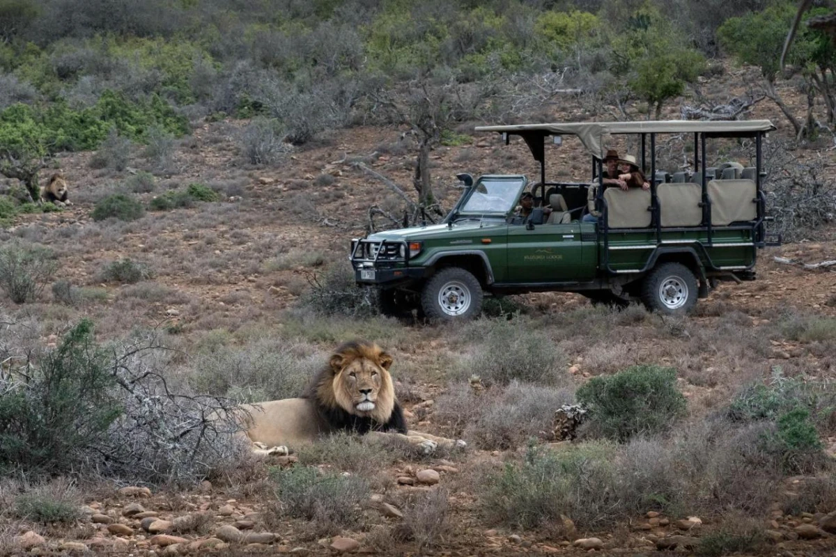 Kuzuko Lodge - Hotel Photo 21