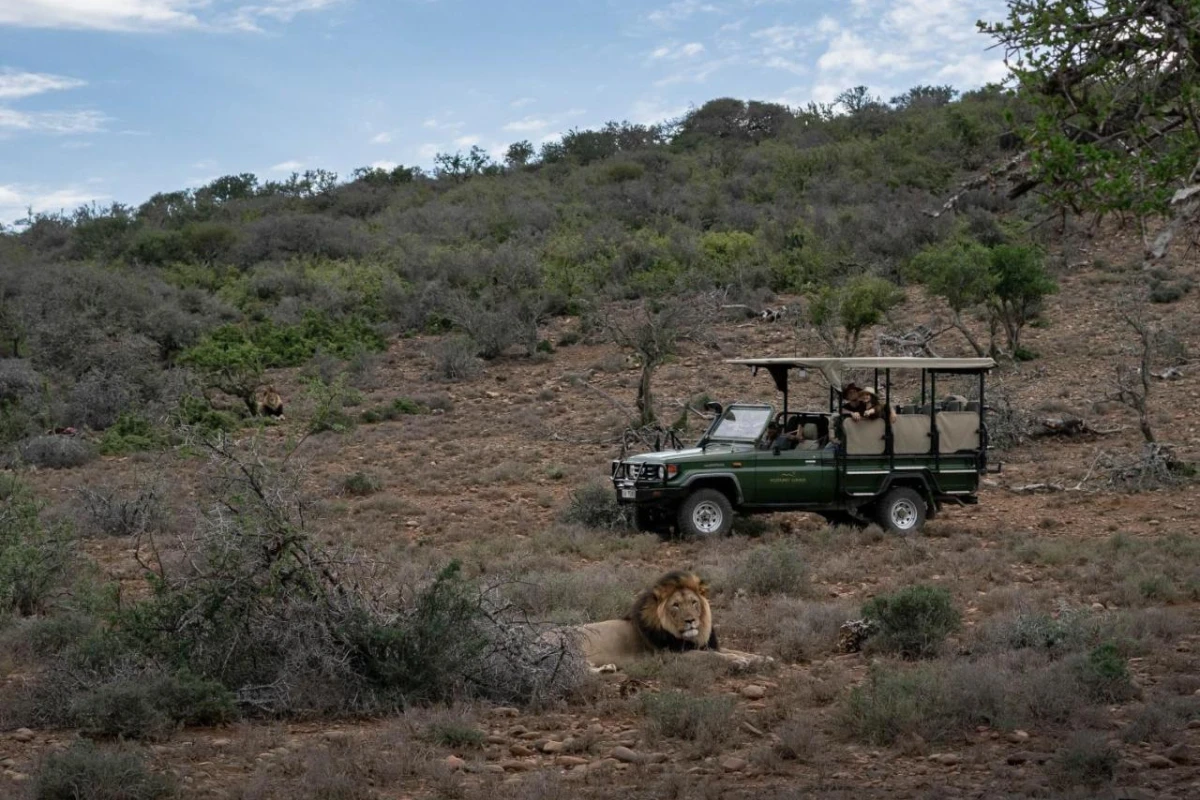 Kuzuko Lodge - Hotel Photo 23