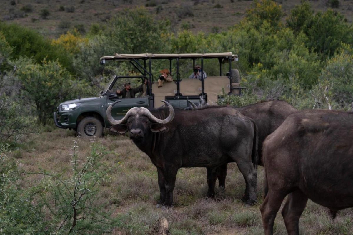 Kuzuko Lodge - Hotel Photo 28