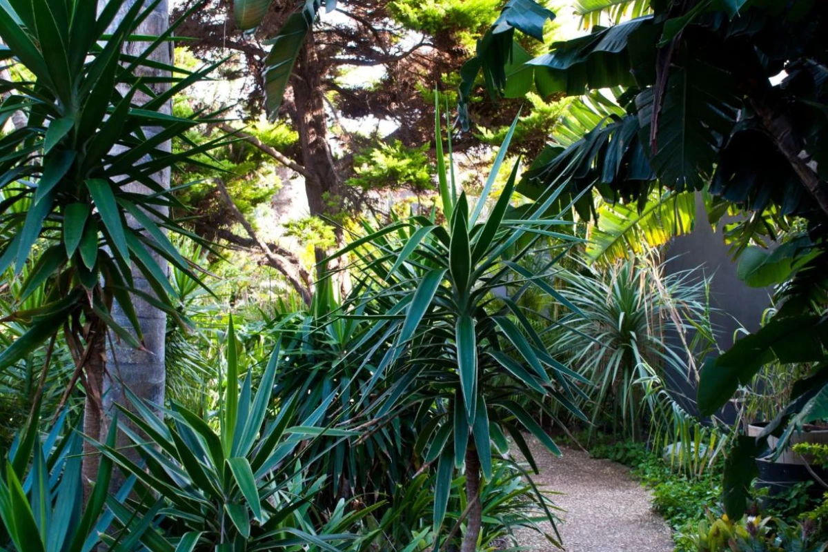 Singa Lodge - Hotel Photo 29