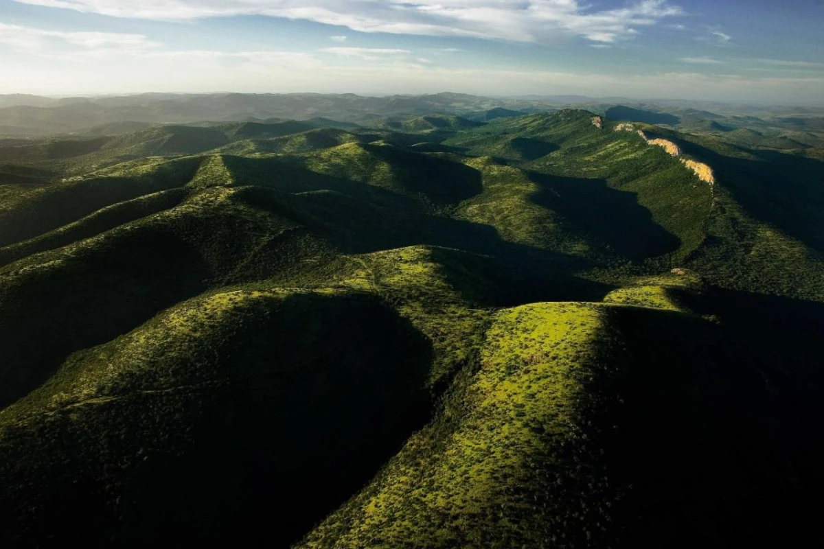 Thanda Safari - Hotel Photo 21