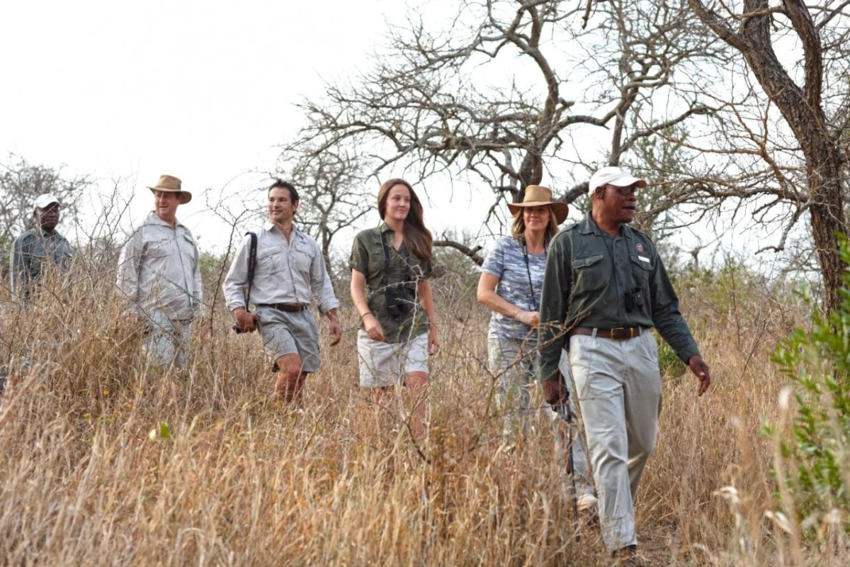 Thanda Safari - Hotel Photo 35