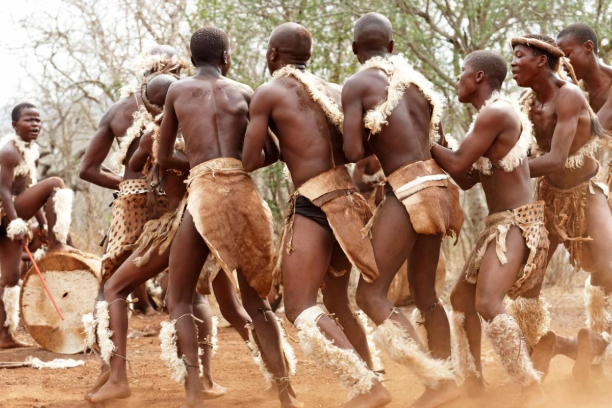 Thanda Safari - Hotel Photo 36