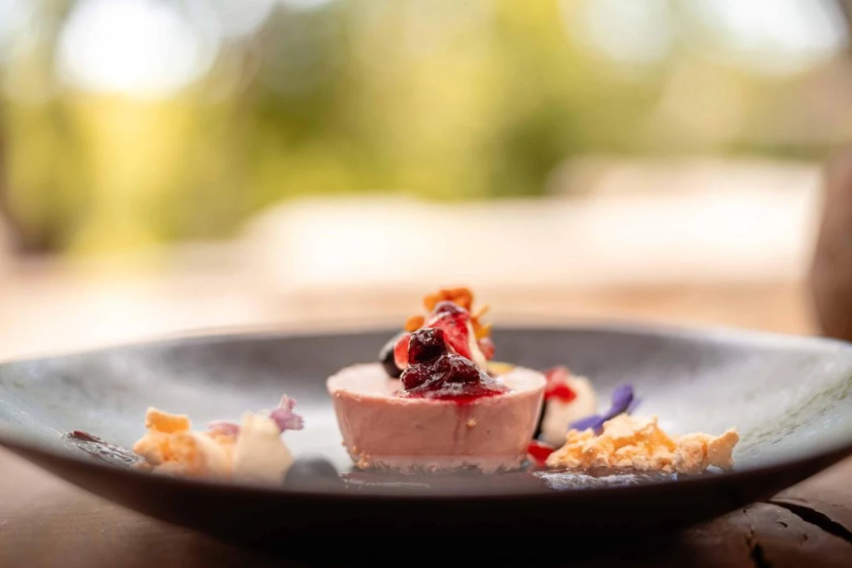 Kapama Karula - Hotel Photo 40