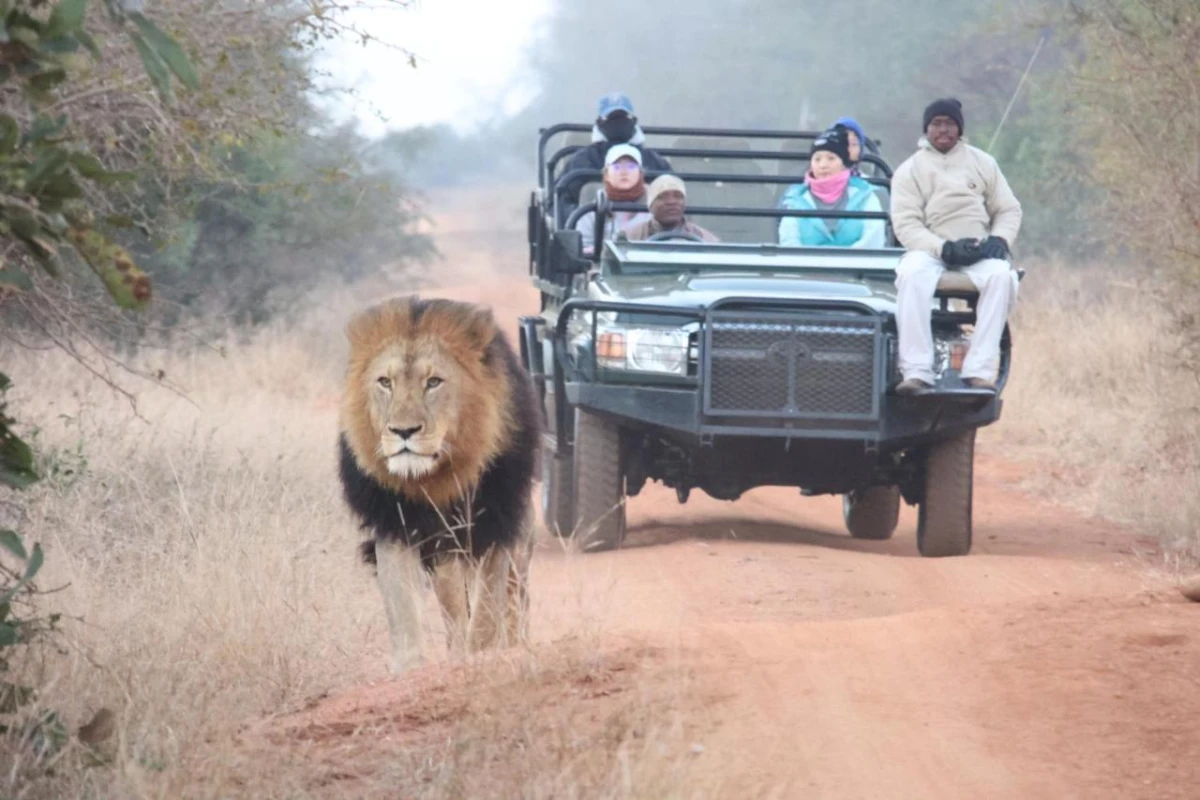 Karongwe Portfolio Becks Safari Lodge - Hotel Photo 1
