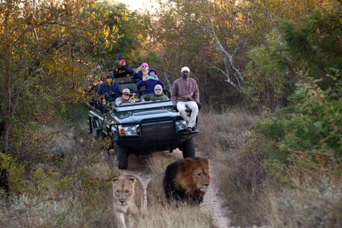Karongwe Portfolio Becks Safari Lodge - Hotel Photo 4