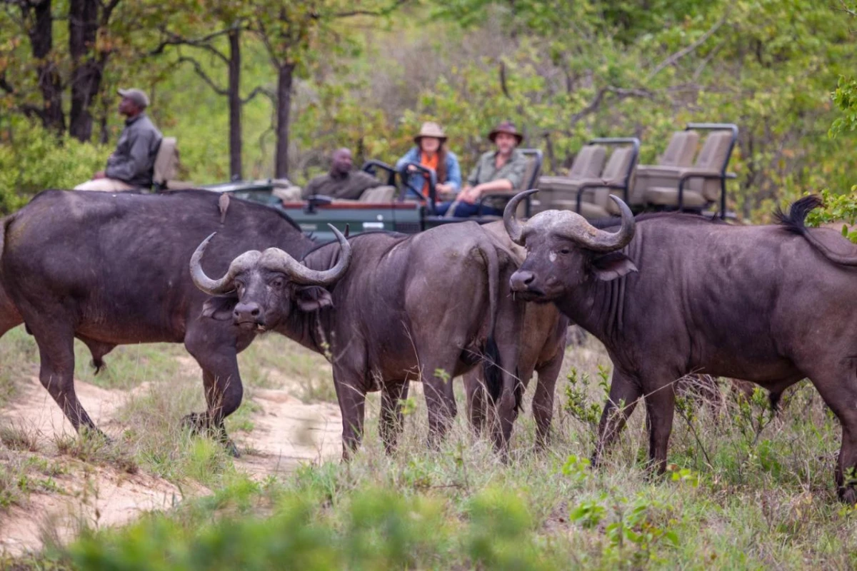 Kings Camp - Hotel Photo 22