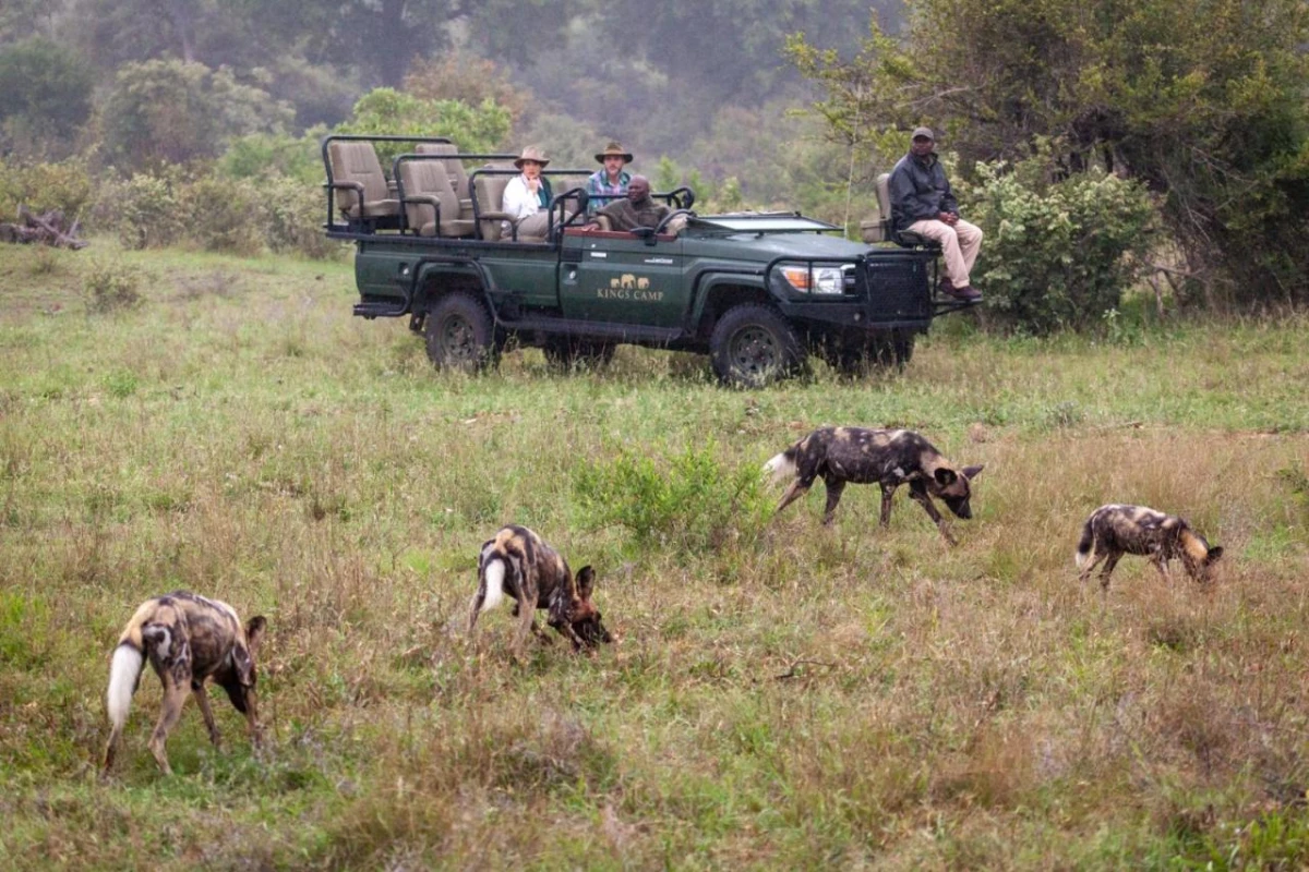 Kings Camp - Hotel Photo 27