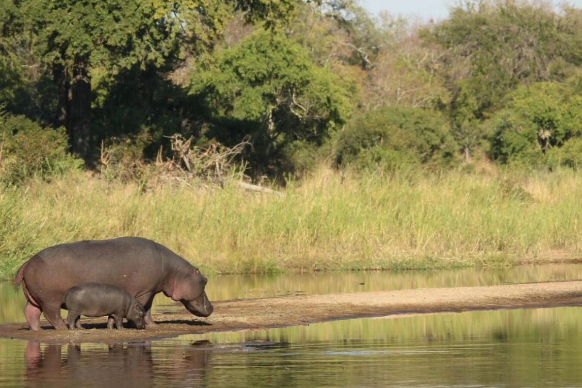 Leopard Hills - Hotel Photo 8