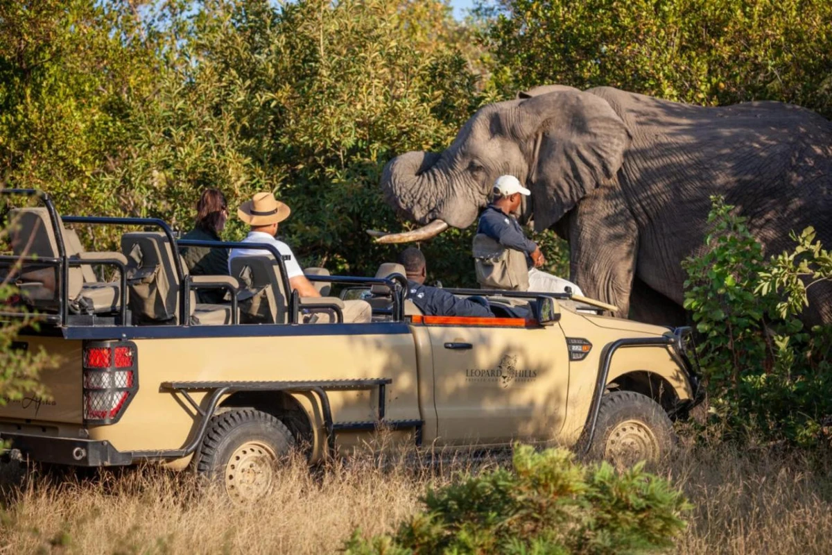 Leopard Hills - Hotel Photo 22