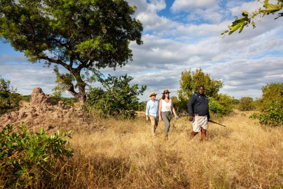 Leopard Hills - Hotel Photo 27