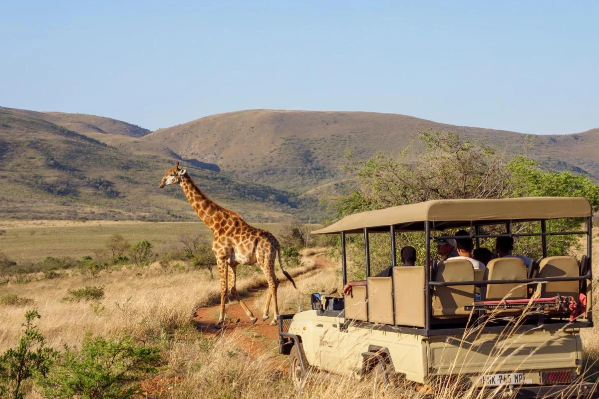 Nkomazi Game Reserve - Hotel Photo 7