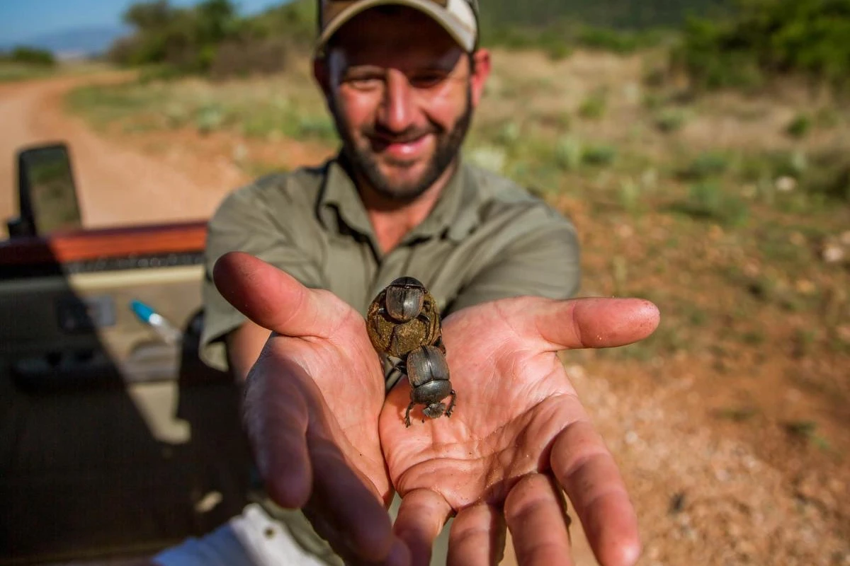 Nkomazi Game Reserve - Hotel Photo 26