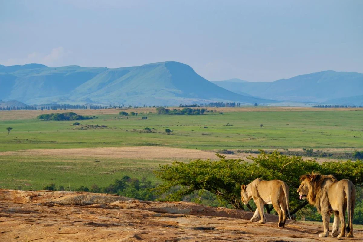 Nkomazi Game Reserve - Hotel Photo 35