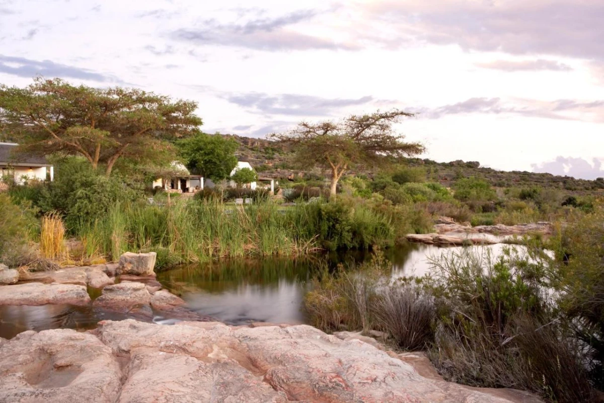 Bushmans Kloof Wilderness Reserve - Hotel Photo 15