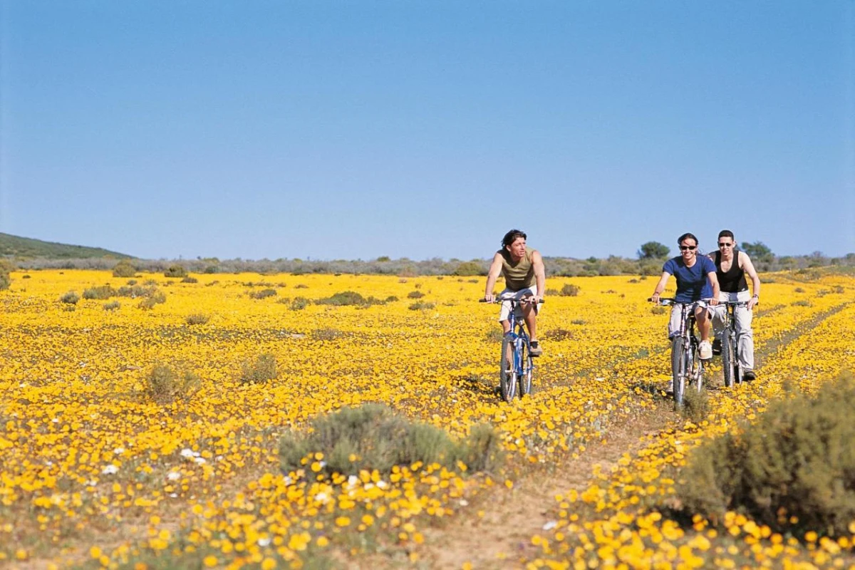 Bushmans Kloof Wilderness Reserve - Hotel Photo 31