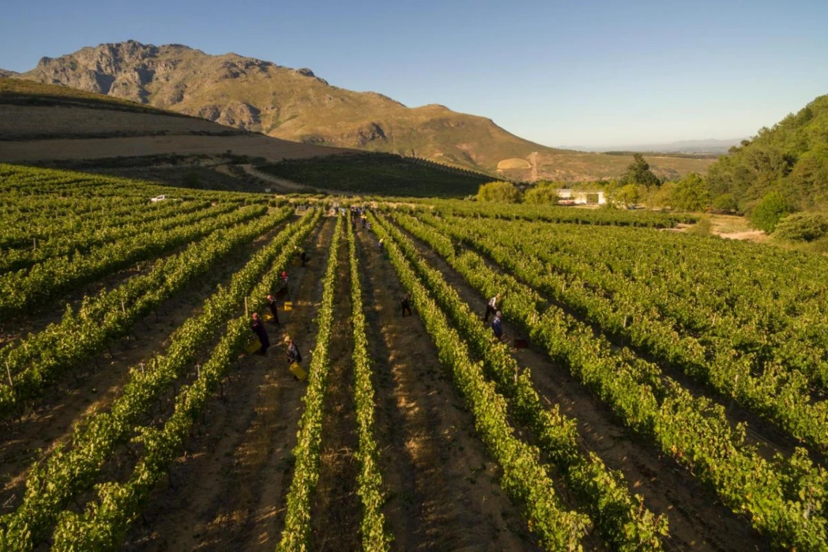 Lanzerac Hotel & Spa - Hotel Photo 27