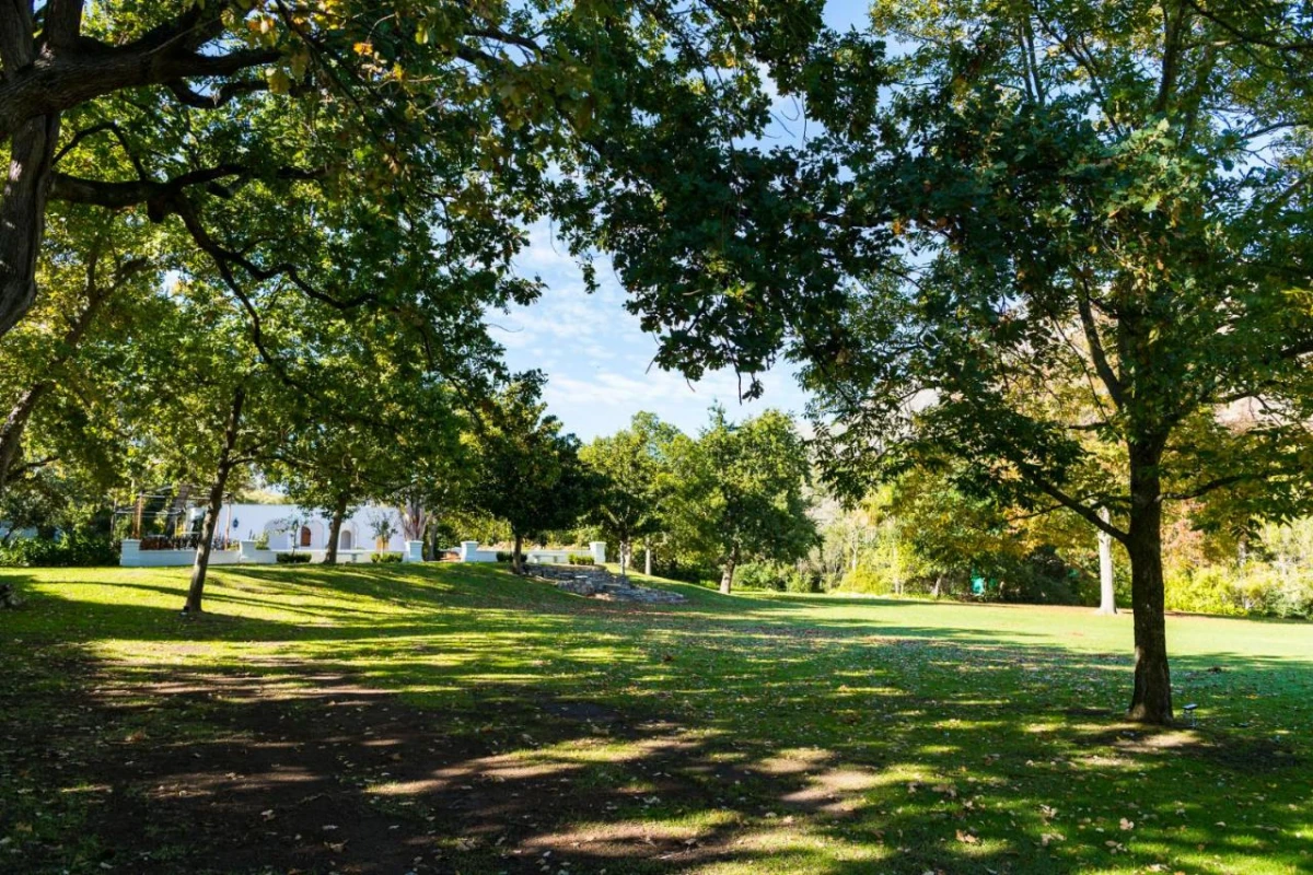 Lanzerac Hotel & Spa - Hotel Photo 28