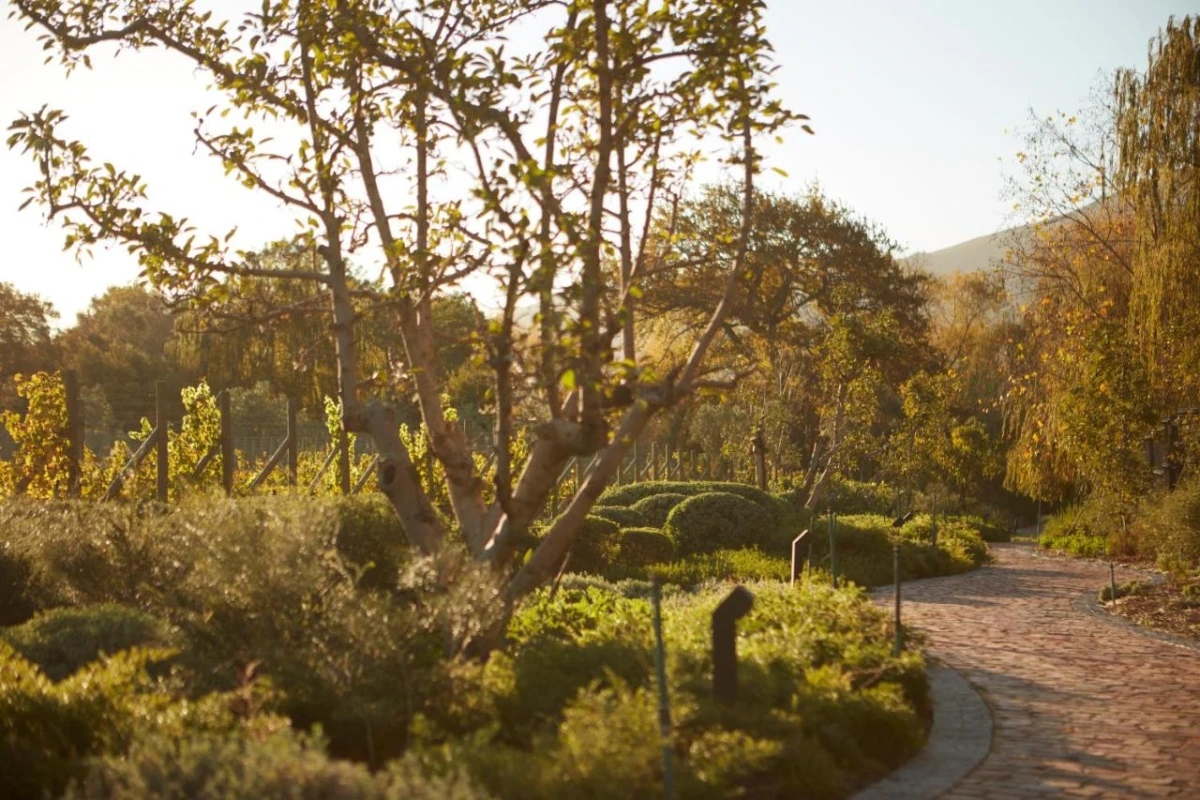 Leeu Estates - Hotel Photo 24