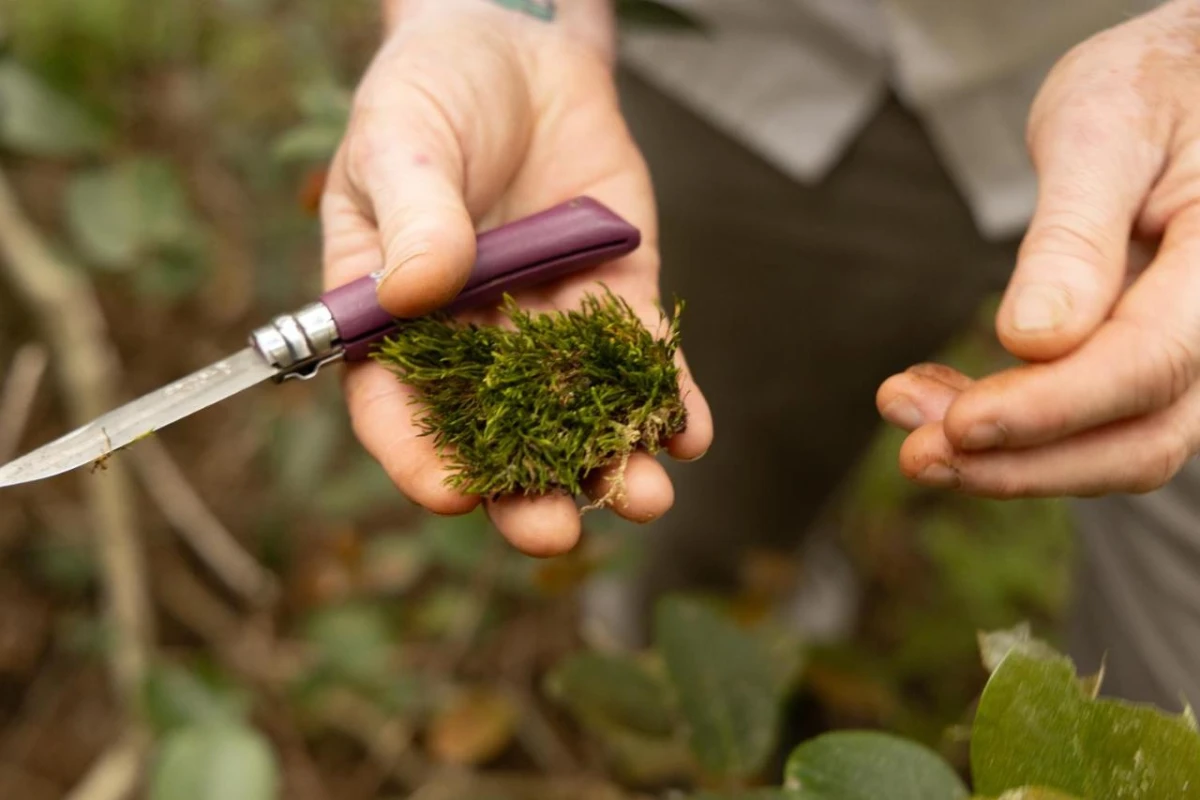 Queen Victoria Hotel - Hotel Photo 36