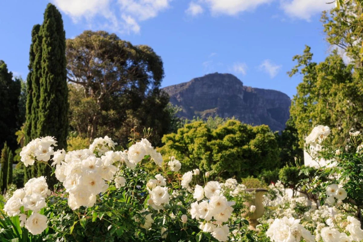 The Cellars-Hohenort - Hotel Photo 10