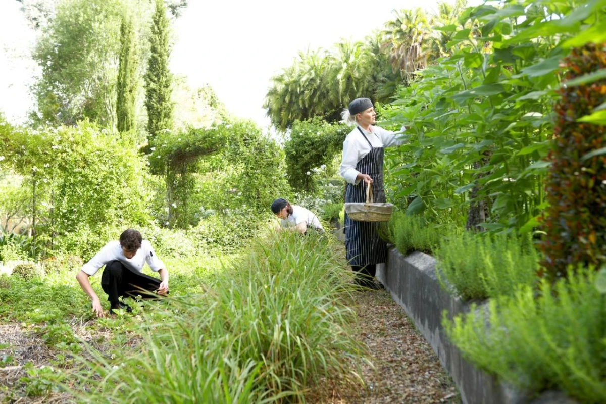 The Cellars-Hohenort - Hotel Photo 26