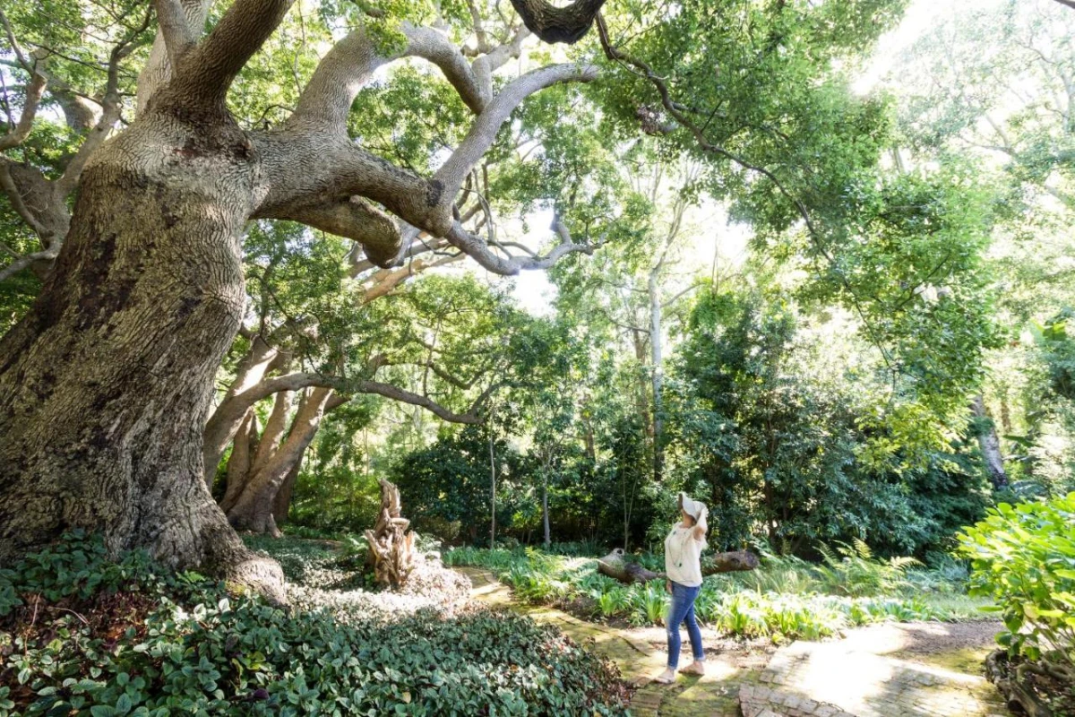 The Cellars-Hohenort - Hotel Photo 38