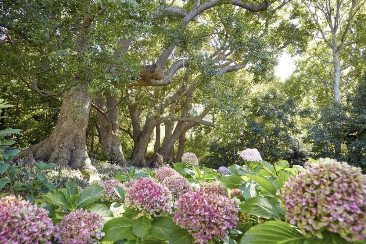 The Cellars-Hohenort - Hotel Photo 39