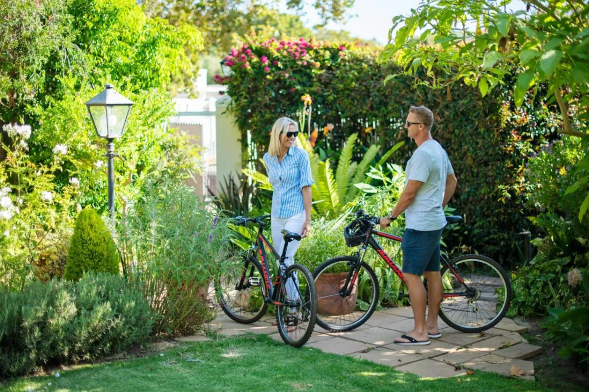 Last Word Constantia - Hotel Photo 7