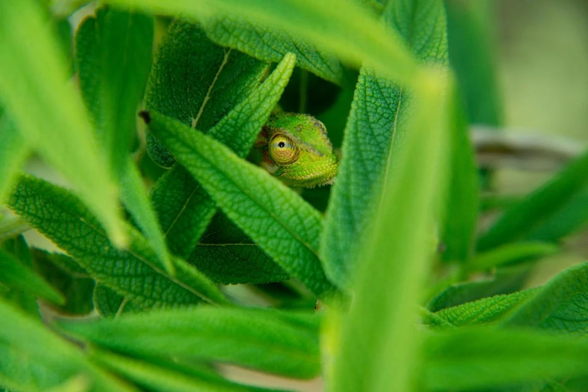 Last Word Constantia - Hotel Photo 10