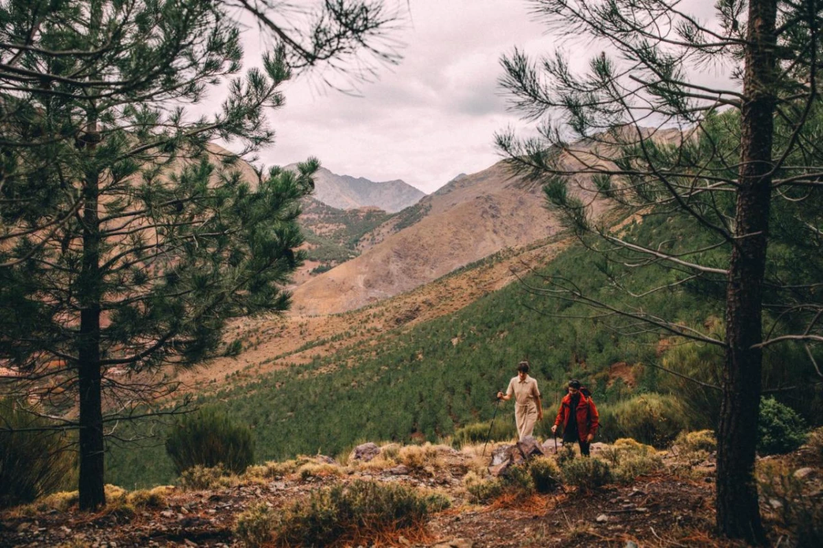 Amanjena Hotel - Hotel Photo 28