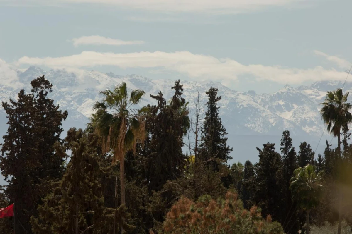 Les Jardins De La Medina - Hotel Photo 40