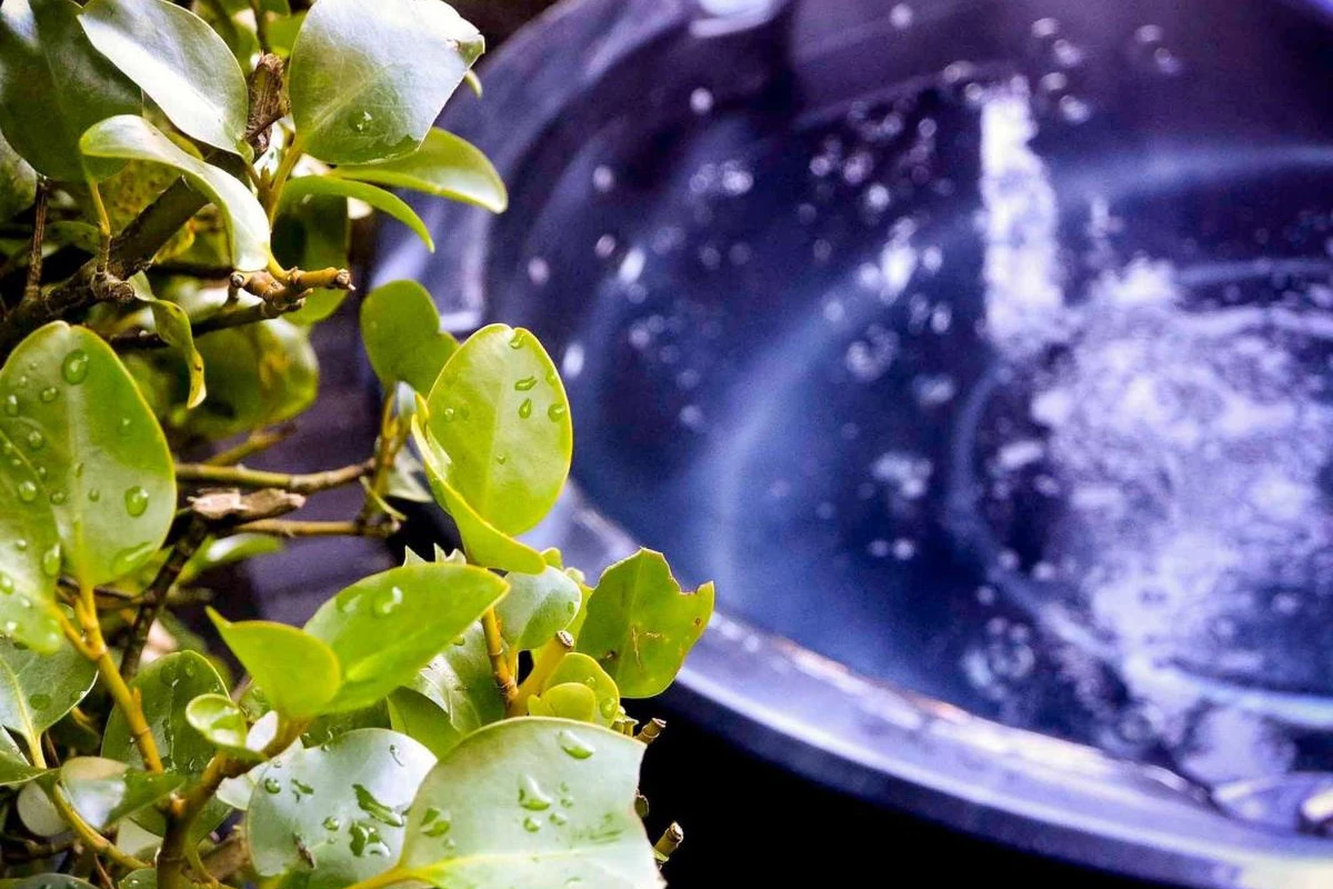 Hotel St Moritz Queenstown MGallery Collection - Hotel Photo 28