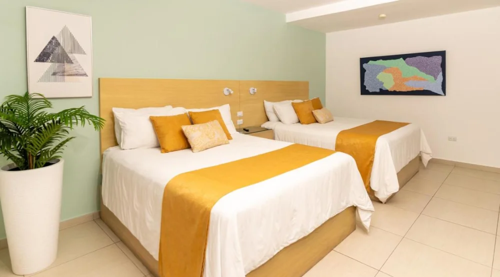 Deluxe Double Room at Hotel Los Farallones
