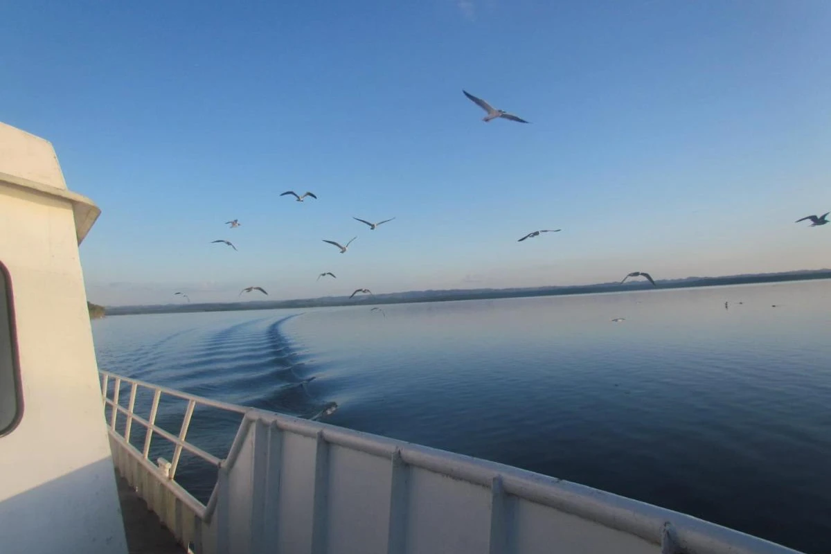 Camino Real Tikal - Hotel Photo 26