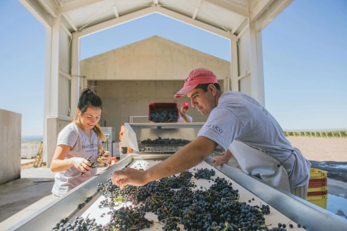 Casa de Uco Vineyards & Wine Resort - Hotel Photo 31