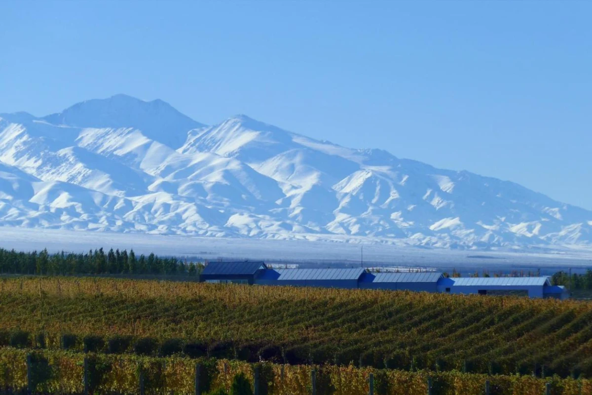 Casa de Uco Vineyards & Wine Resort - Hotel Photo 32