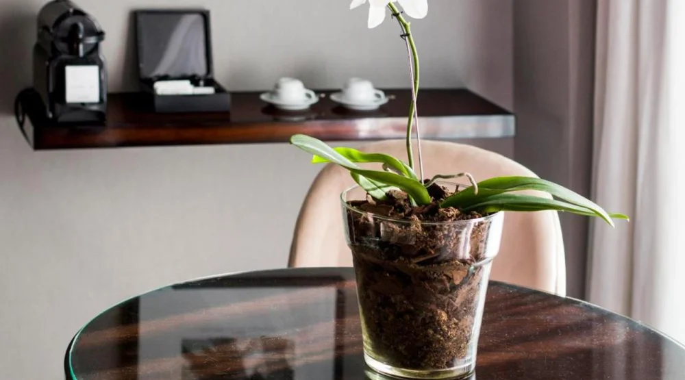 Executive Double Room at CasaSur Recoleta