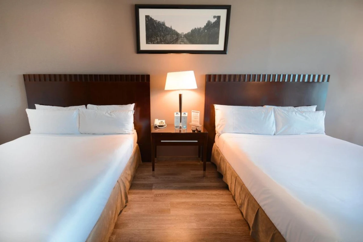 Diplomatic Hotel - Hotel Photo 29