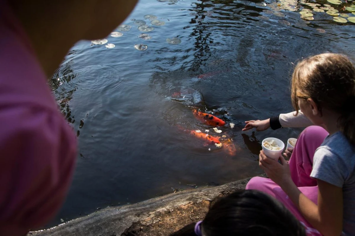 Iguazu Grand Resort Spa & Casino - Hotel Photo 19