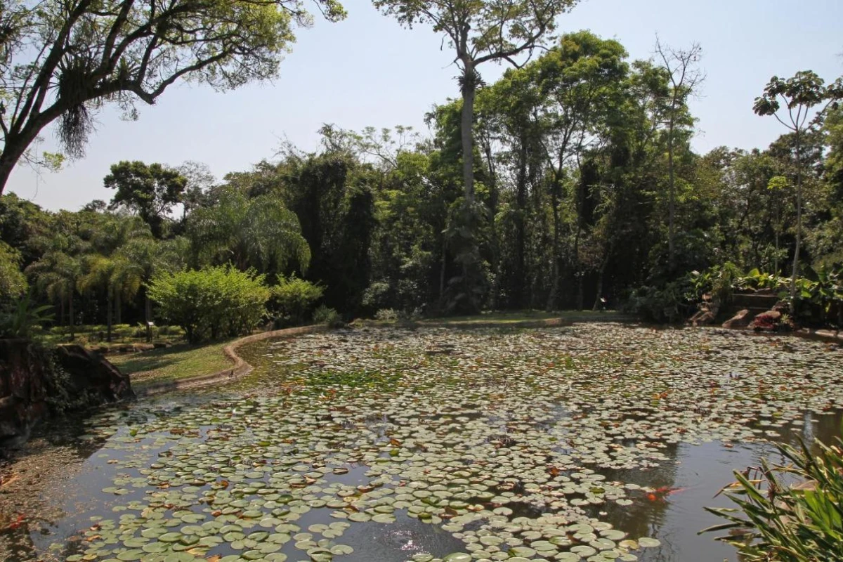 Iguazu Grand Resort Spa & Casino - Hotel Photo 29