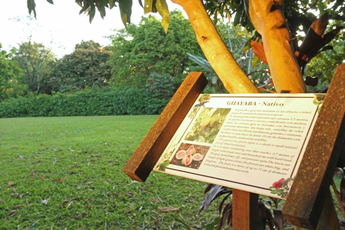 Iguazu Grand Resort Spa & Casino - Hotel Photo 39