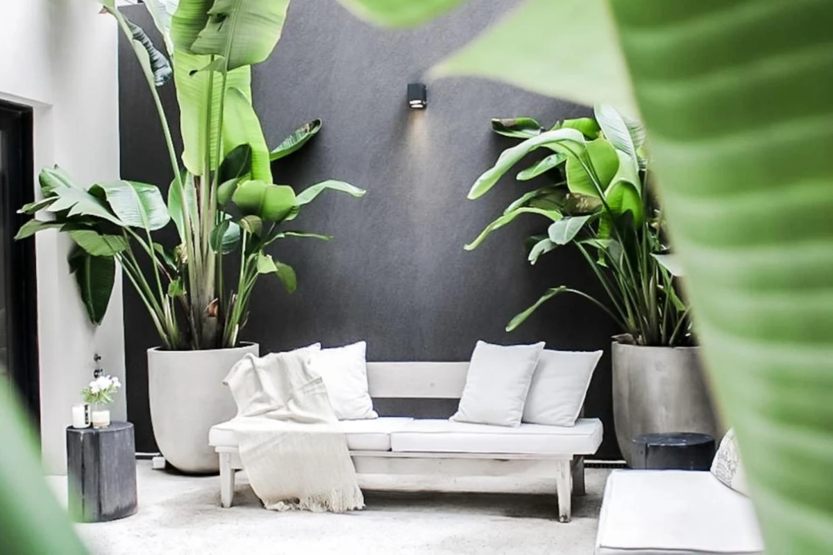 Krista Hotel Boutique - Hotel Photo 32