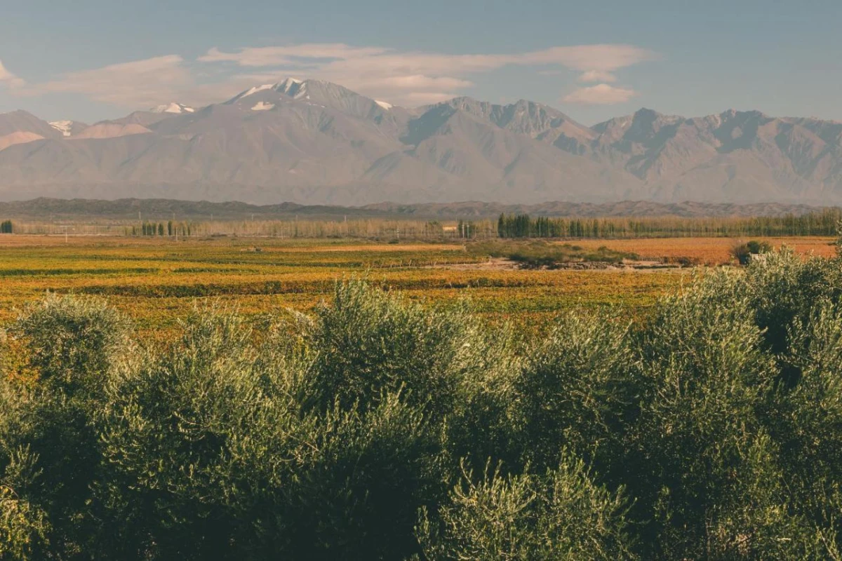 Rosell Boher Winery Lodge & Spa - Hotel Photo 5